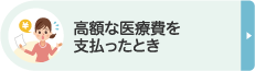 高額な医療費を支払ったとき